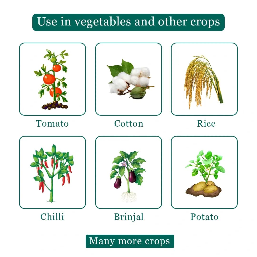IMD-70 Insecticide - Imidacloprid 70% WG - Image 4
