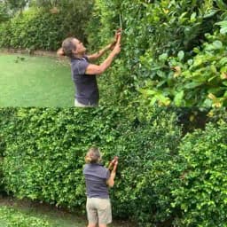 Wolf Garten Hedge Shears Wooden Handle (HS-W), Use For Hedge Trimming, Hedge Shaping, Precision Pruning 3