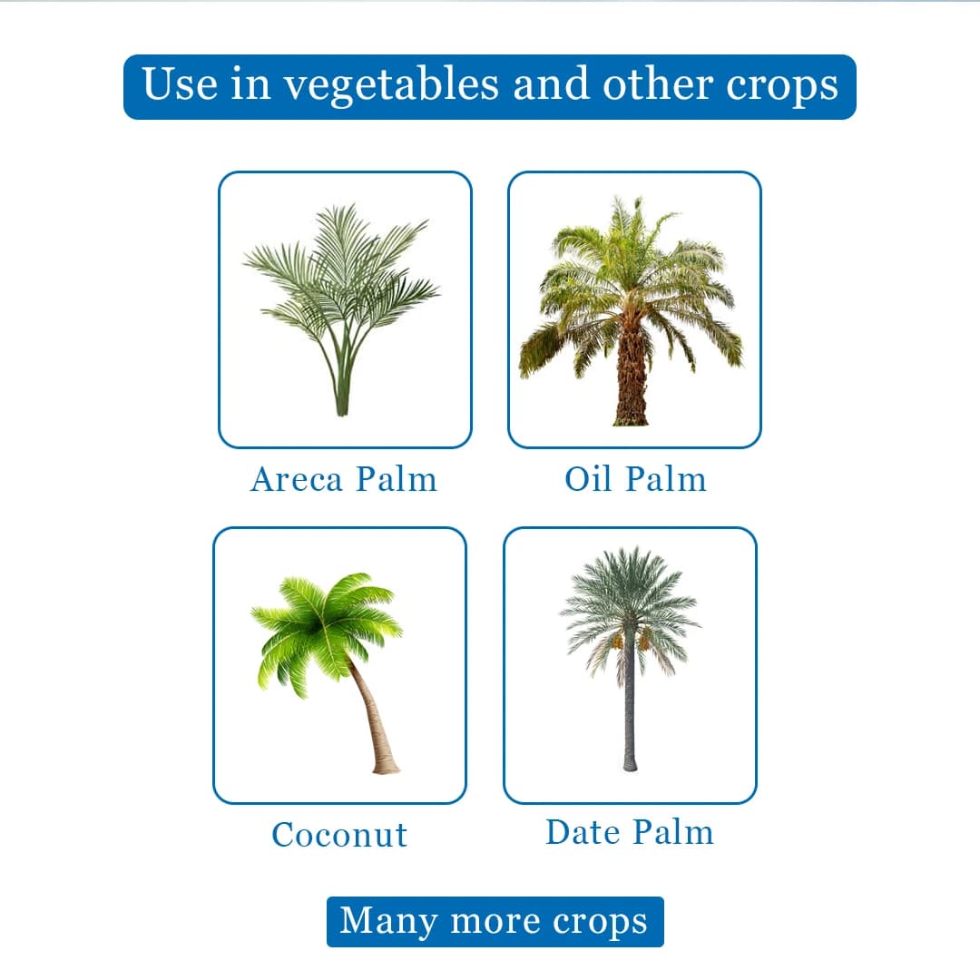 Pheromone Trap & Lure for RB (Rhinoceros Beetle) KOKO Activator Free, For Coconut, Date Palm, Oil Palm, Arecanut Palm. - Image 4
