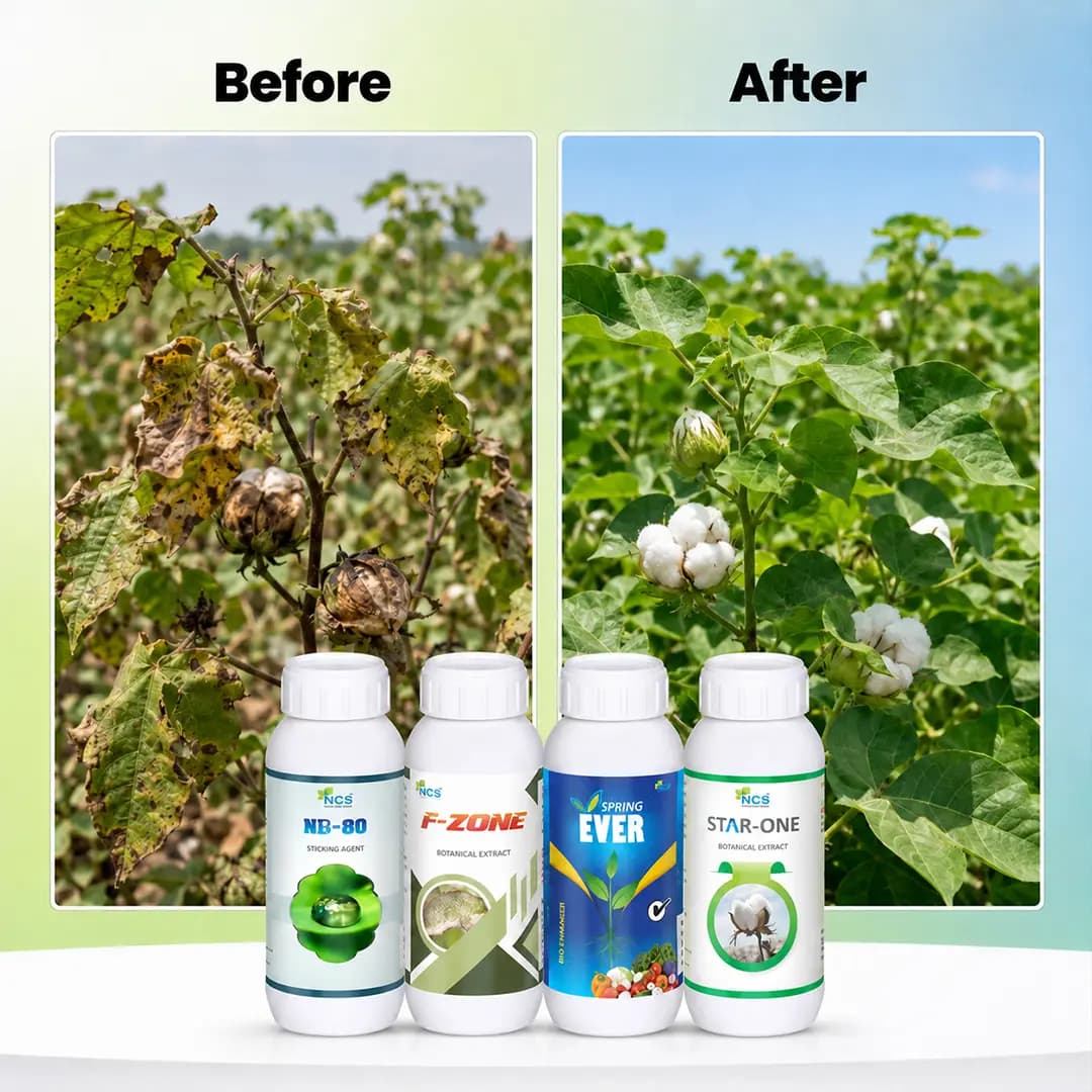 Suraksha Kit for Larva Control at Growth Stage First 40-45 days (F-Zone 250 ML + Star One 250 ML + Spring Ever 1 Ltr + NB 80 250 ML) - Image 6