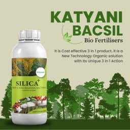 Katyayani Silica Plus Silica Solubilizing Bacteria Bio Fertilizer For Enhanced Silica Availability and Improved Plant Strength and Growth 3