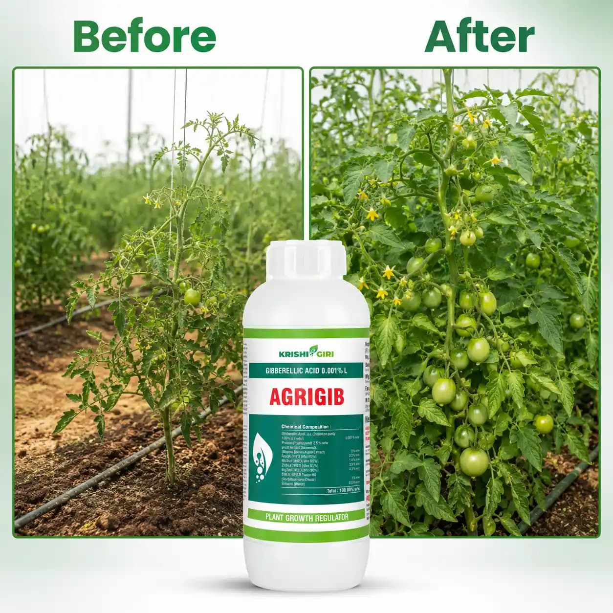 Agrigib Plant Growth Regulator - Gibberellic Acid 0.001% L - Image 2
