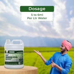 Sugarcane Special Liquid Micronutrient Mixture Fertilizer Enriched with Essential Micronutrients like Zinc, Ferrous, Boron, Copper And Manganese. 5