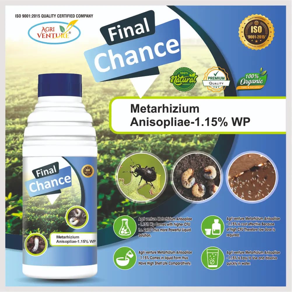 AgriVenture FINAL CHANCE (Metarhizium Anisopliae 1.15% WP) Bacterial Products, Best for White Grub - Image 4