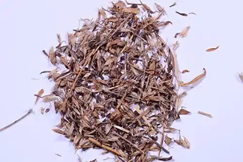 RK Seeds Stylo Hamata Grass Seed , Grass Seeds , Fodder Seeds , Stylosanthes Hamata Seed,stylo grass seeds,cattle grass seeds ,grass seeds plantation