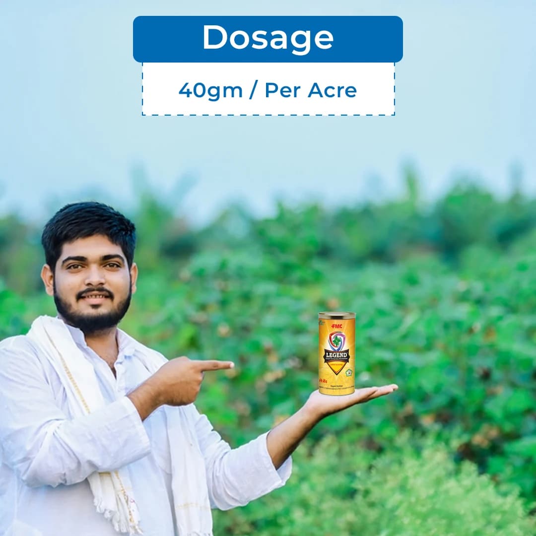 FMC Legend Bio Solution - Used For Better Flowering And Fruiting Of Crops. - Image 5