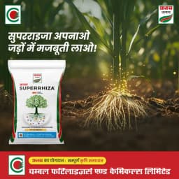 Uttam Superrhiza Vesicular Arbuscular Mycorrhiza (VAM) Biofertiliser, Organic Manure Fertilizers And Compost, Soil Mix For All Plants 2
