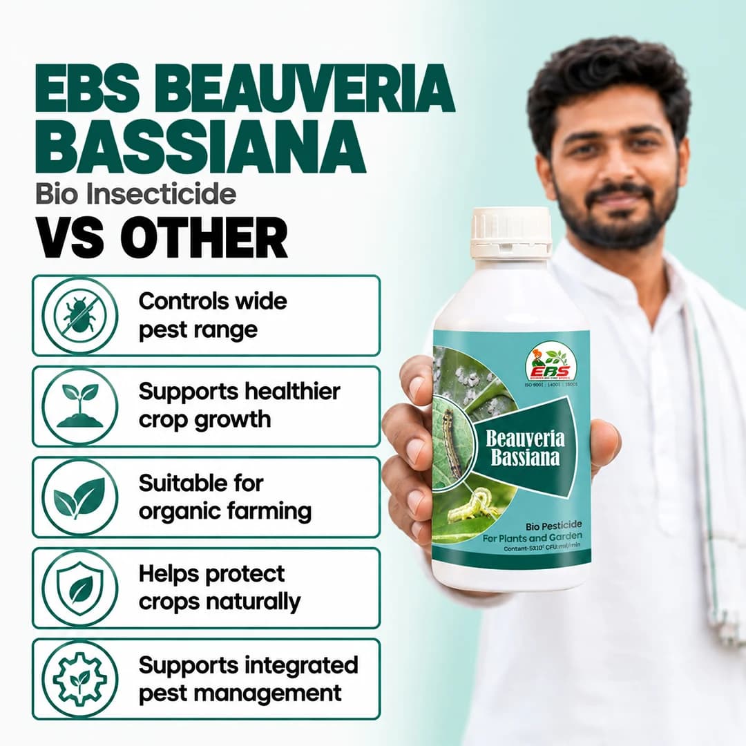 ईबीएस ब्यूवेरिया बेसियाना जैव कीटनाशक, सभी फसलों और पौधों पर कई कीटों का प्रभावी नियंत्रण. - Image 7