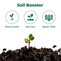 Katyayani Activated Humic Acid + Fulvic Acid Plants Fertilizer & Bio Enhancer with Silicon wetting Agent 100% Organic for Home Garden & Agriculture 3