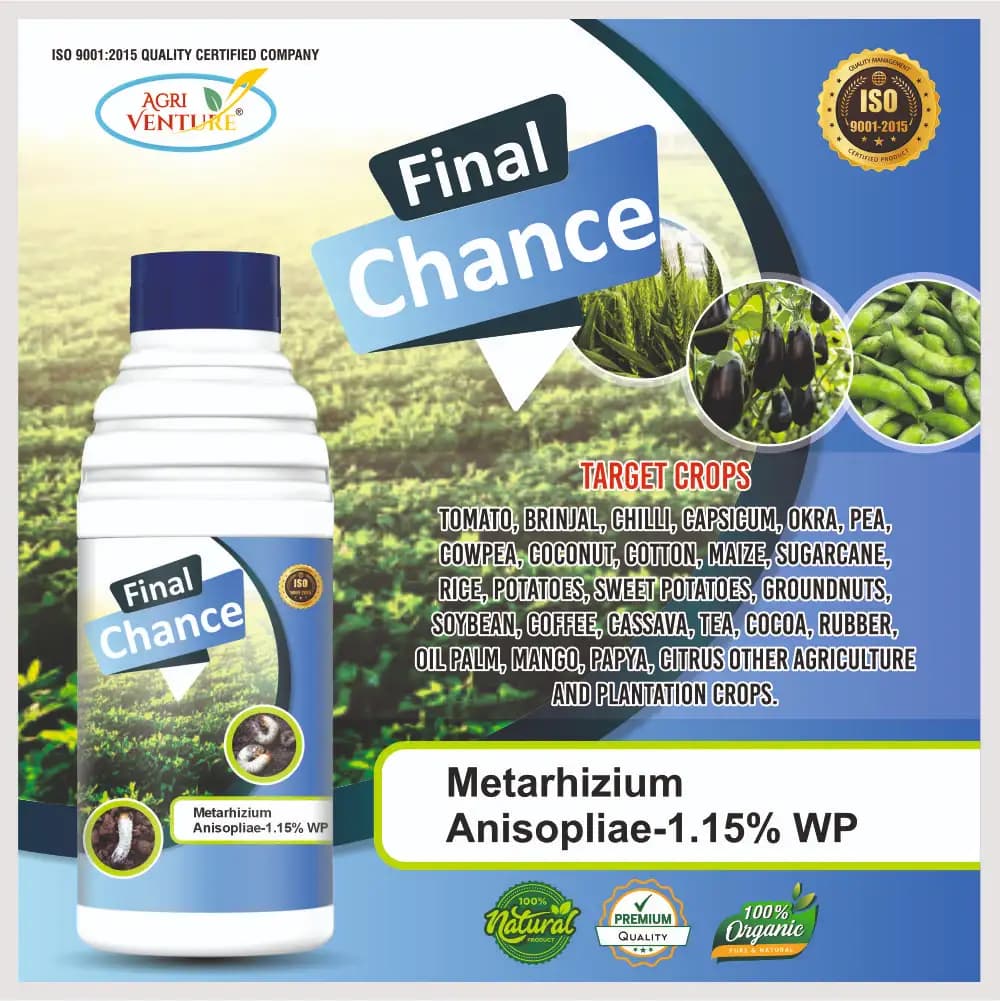 AgriVenture FINAL CHANCE (Metarhizium Anisopliae 1.15% WP) Bacterial Products, Best for White Grub - Image 3