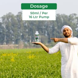 BACF Nutrixon Cal SL - Calcium, Boron, Amino acids. Prevents Fruit and Flower Dropping, Reduces Biotic And Abiotic Stress, Increases Fruit Size 5