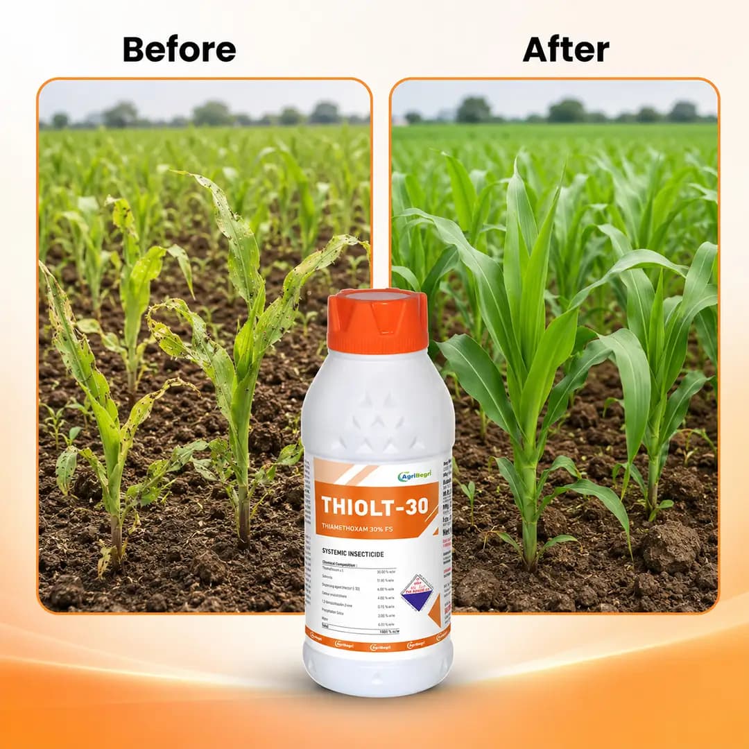 Thiolt-30 Insecticide - Thiamethoxam 30% FS - Image 6