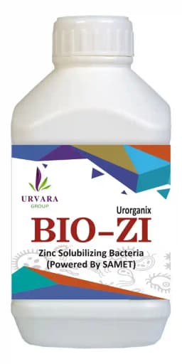 Biozi - Zinc Solubilising Bacteria for Zinc mobilization in the soil for easy absorption of zinc byroots from the soil 1