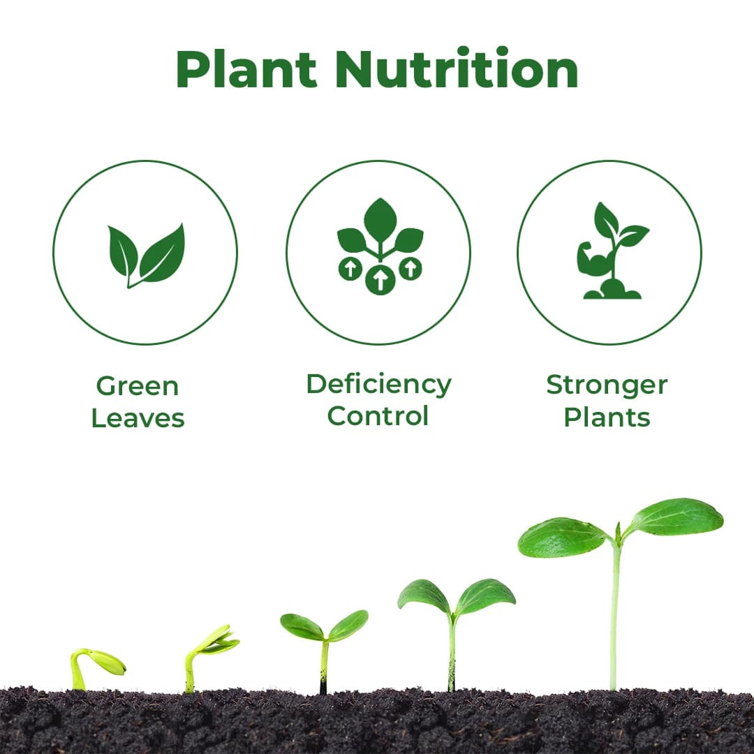 Katyayani Iron Fertilizer - Ferrous Sulphate 19% - Image 3