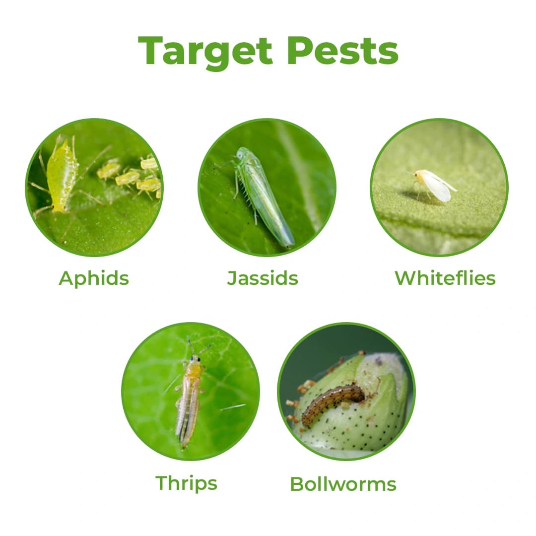 Katyayani Dr. Neem Oil 1500 ppm, Natural Plant Protection Solution, Used On Fruits - Image 3