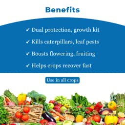 AgriBegri Combo Pack (Emoctan 250gm + Agrigib 500ml) Powerful Combination, Complete Crop Protection and Growth Solution 4