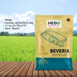 HEDO Beveria (Beauveria Bassiana 1.15% WP) Powder Bio Pesticide For Vegetables, Fruits & All Crops, Broad Spectrum Control 5