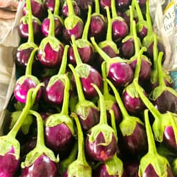 Sagar Ravaya F1 Hybrid Brinjal Seeds, Dark Violet, Oval-Shaped, High Yielding Variety 2