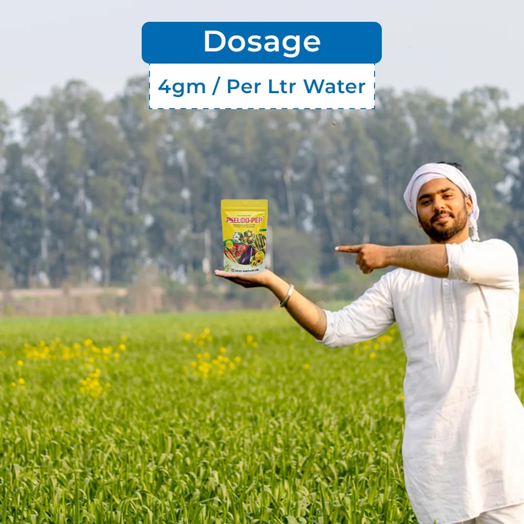 Pseudo-Pep Bio Fungicide - Pseudomonas Fluorescens 1.0% WP - Image 5