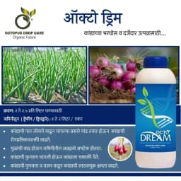 Octopus Dream Bio-Stimulant With Seaweed, Amino Acids & Vitamins For Bud And Fruit Growth 2