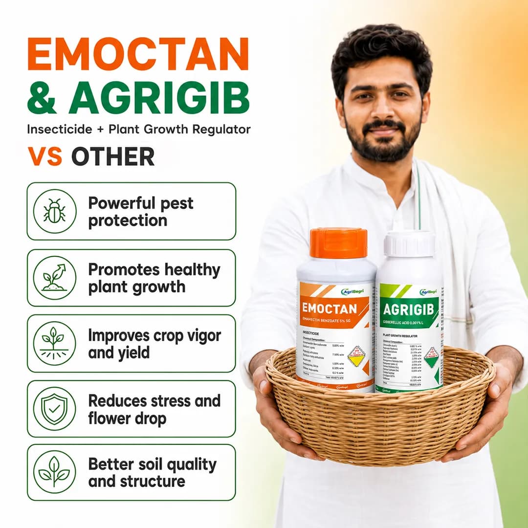 AgriBegri Combo Pack (Emoctan 250gm + Agrigib 500ml) Powerful Combination, Complete Crop Protection and Growth Solution - Image 7