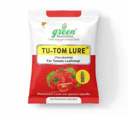Water Pheromone Trap With TU-TOM Pheromone Lure (Tuta Absoluta ,Tomato Leafminer) for Tomato, Cherry Tomato, and Potato. 2