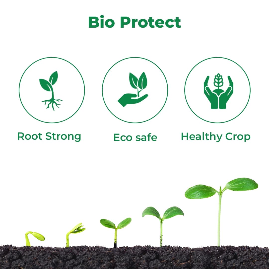 BACF Averse Pseudomonas fluorescens 1%WP Bio Pesticide , Selective Bio-Agent And Effectively Controls Soil-Borne - Image 3