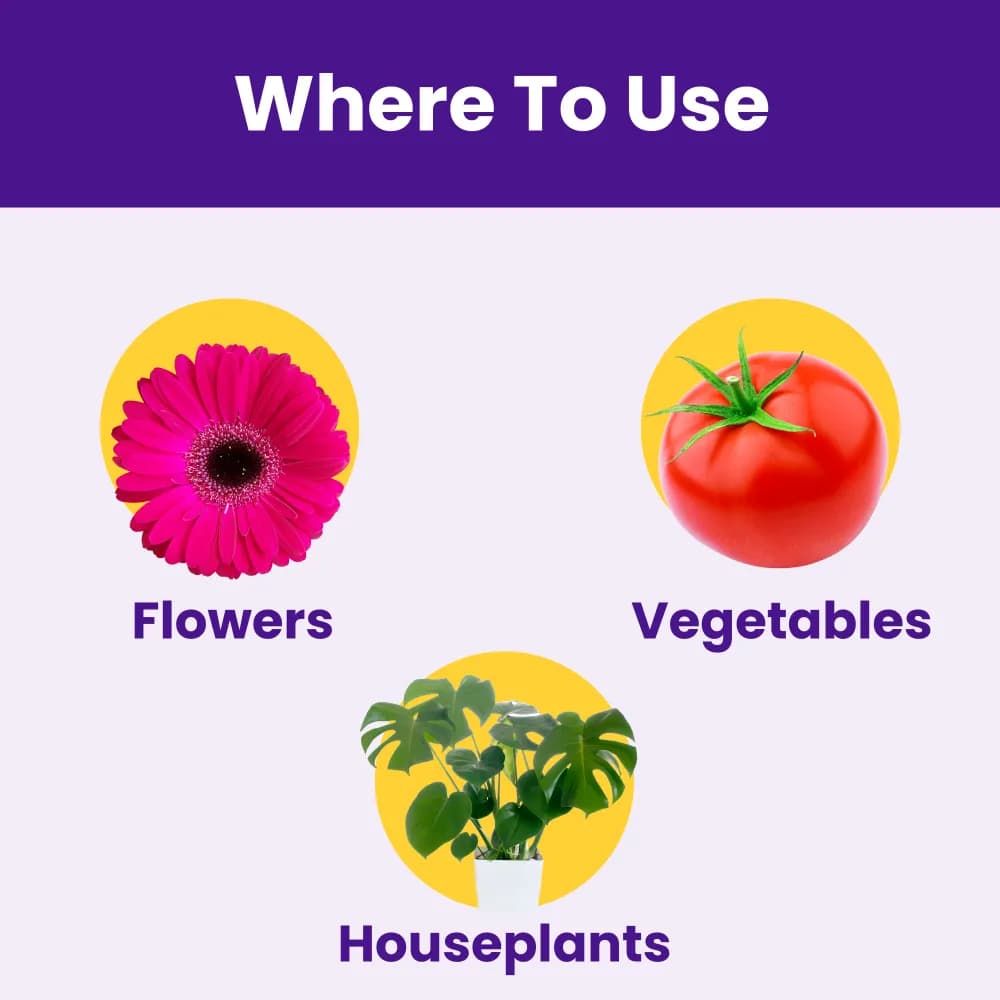 Utkarsh BeShape (Disodium Octaborate Tetrahydrate Boron 20%) (100% Water Soluble Foliar Spray), Helps With Pollination, and Fruit and Seed Development - Image 7