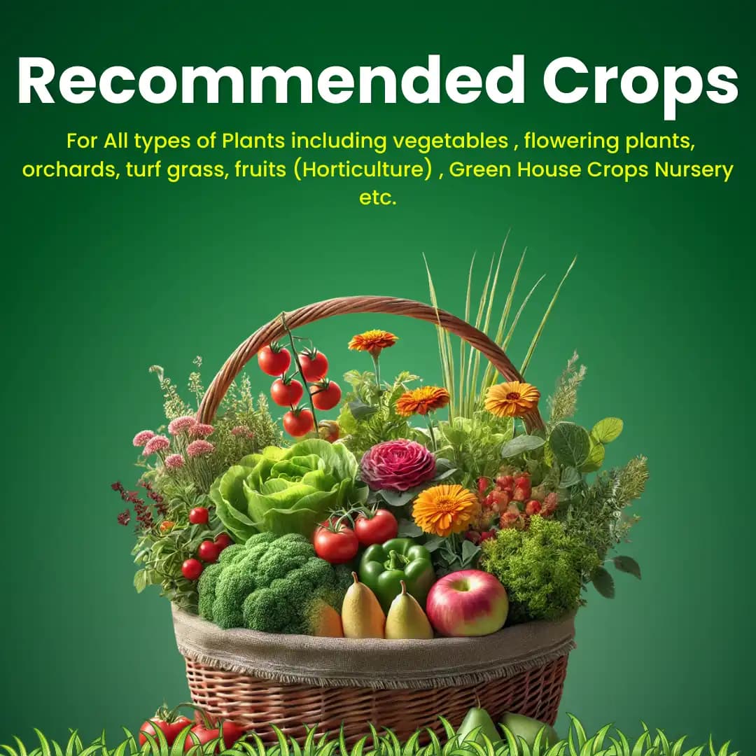 Katyayani Chelated Mix Micronutrient Super For Home Garden, Nursery and Agriculture use Fertilizer - Image 4