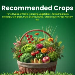 Katyayani Chelated Mix Micronutrient Super For Home Garden, Nursery and Agriculture use Fertilizer 4