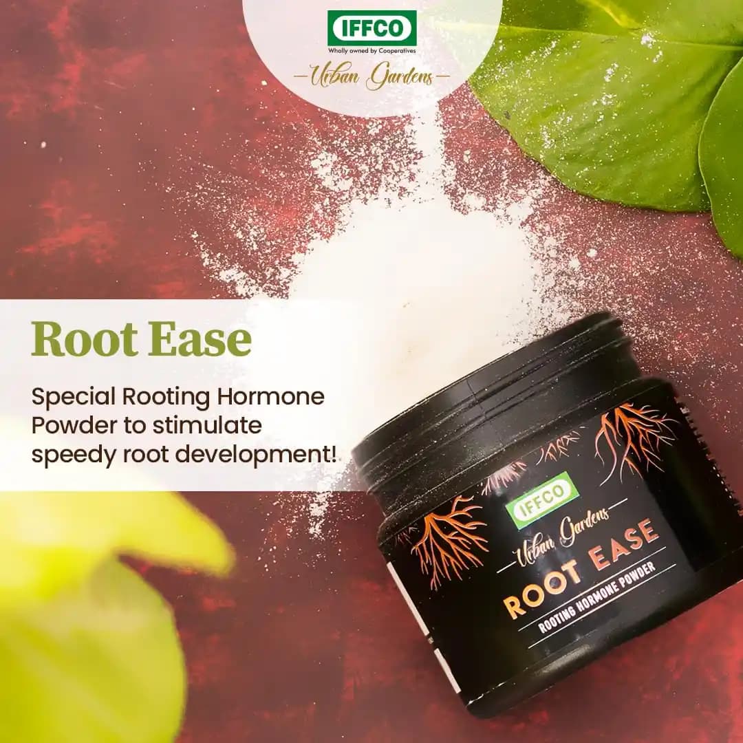 IFFCO Urban Garden Root Ease Rooting Hormone Powder, Fast Root Growth For Plant Cuttings And Grafting - Image 3