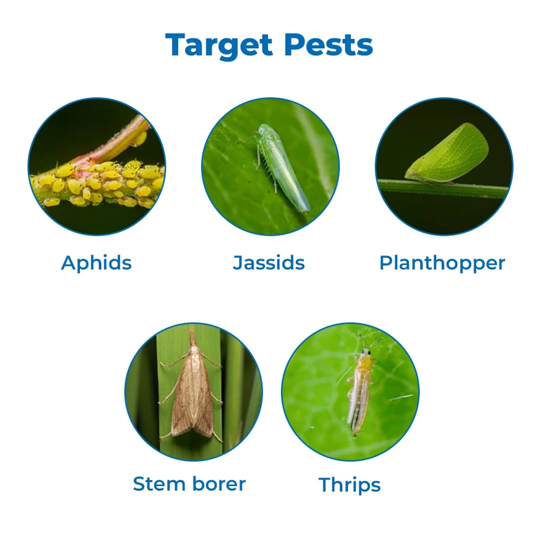 HPM 7-STAR Thiamethoxam 25% WG Insecticide, Excellent Control of Many Sucking and Chewing Pests - Image 3
