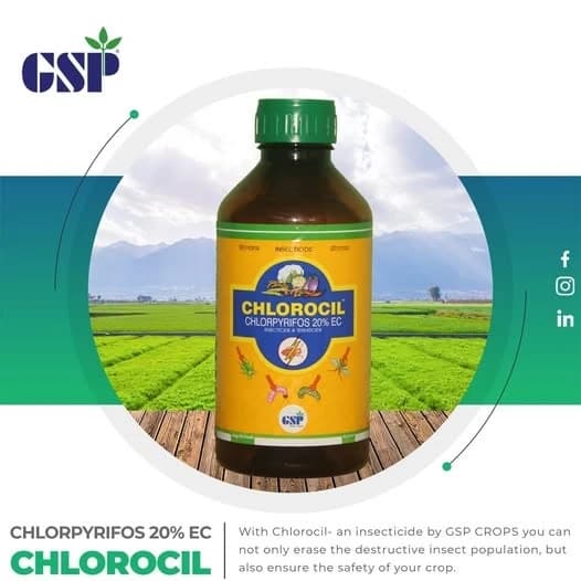 GSP Chlorocil Chlorpyrifos 20% EC Insecticide, Effective Pest Control, Suitable For A Variety Of Crops - Image 3
