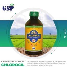 GSP Chlorocil Chlorpyrifos 20% EC Insecticide, Effective Pest Control, Suitable For A Variety Of Crops 3