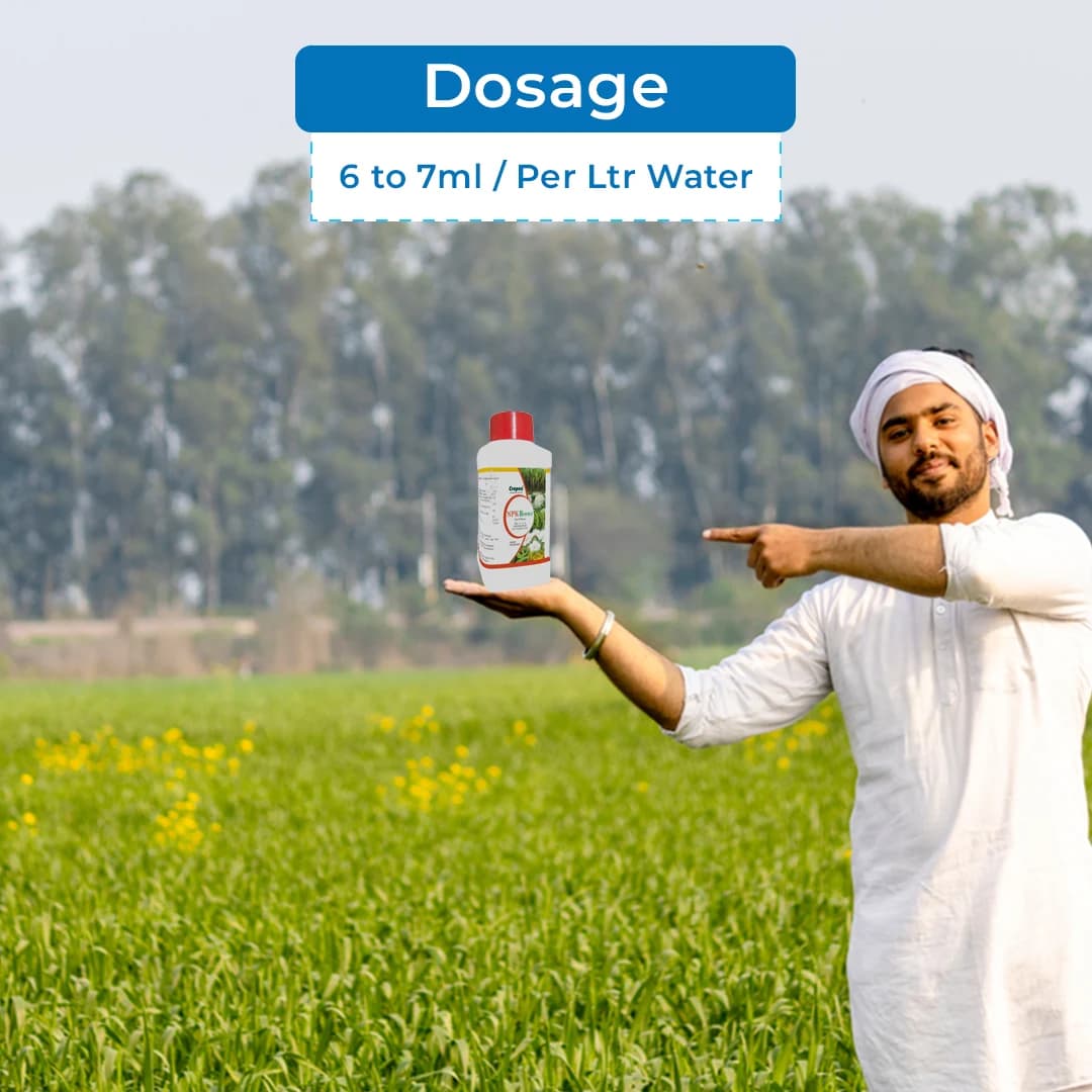 Cropex NPK Boost Fertilizer, NPK Fortified With Zinc And Boron, Increase Crop Growth And Development. - Image 5