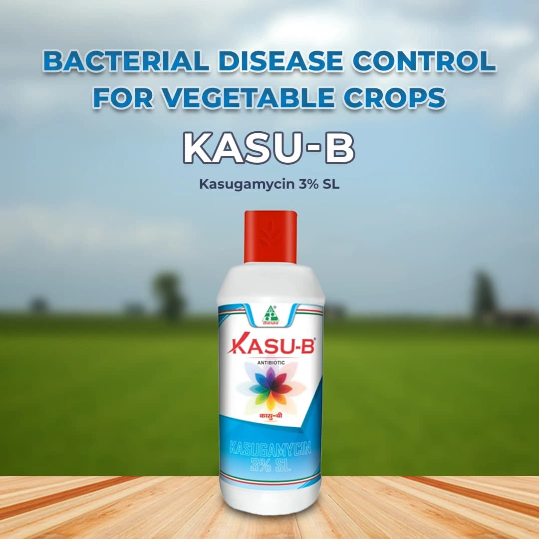 Kasu-B Fungicide - Kasugamycin 3% SL - Image 2