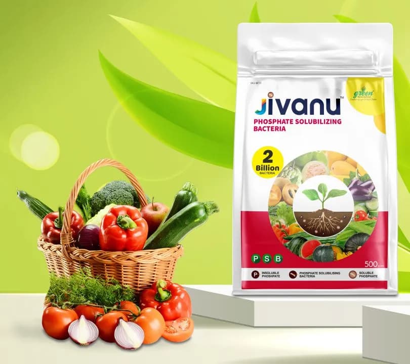 Jivanu (Potassium Solubilizing and Mobilizing Bacteria KSB, KMB) Bio Fertilizers - Image 3
