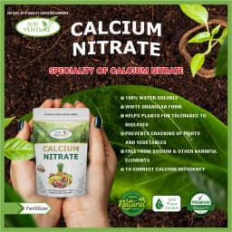Agriventure Calcium Nitrate 18.8%, 100% Water Soluble Fertilizer, Increases Crop Quality And Yield 6
