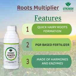 Utkarsh Roots Multiplier For Quick Growth and Development of Feeding Roots 3