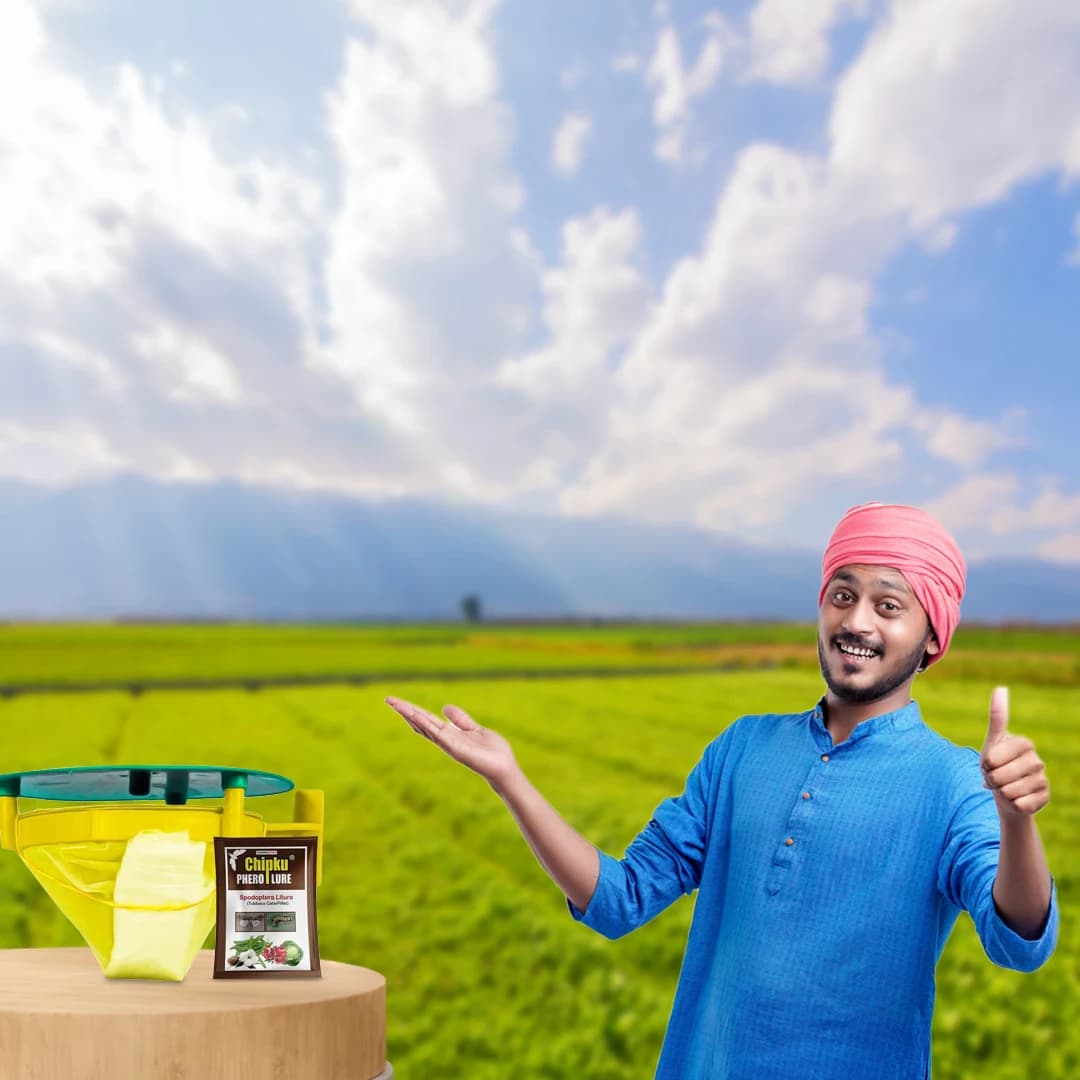 Chipku Funnel Trap With Spodoptera Litura Lure - Image 5