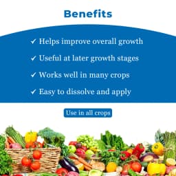 Agriventure NPK 00:00:50 Imported 100% Water Soluble Drip and Foliar Spray Fertilizer, Suitable For All Types of Plants & Agriculture Crops 4