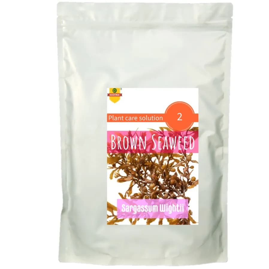 Ecotika 100% Pure Brown Seaweed, Sargassum Wightii, Produces Healthier, More Nutritious Fruits And Vegetables. - Image 1