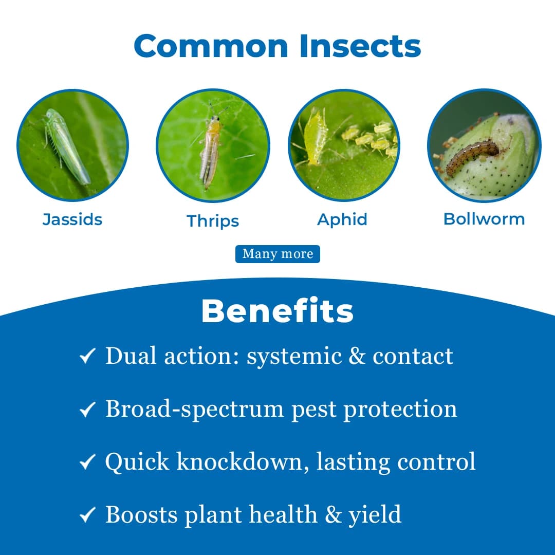 Arion Insecticide - Thiamethoxam 12.6% + Lambda Cyhalothrin 9.5% ZC - Image 3