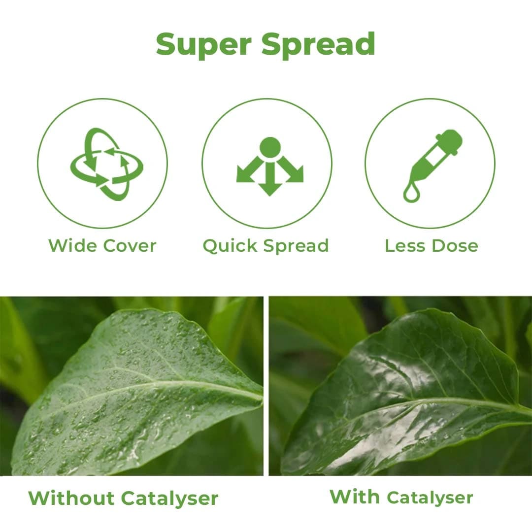 Katyayani Catalyser Silicon Super Spreader for Plants & Garden, Contain Natural Silica, Increase Crop Production, Reduces Loss Of Nutrients - Image 3