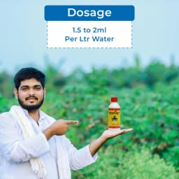 Pest Out Sucking Pest Controller Like., Thrips, Jassids, Hopper, Aphid, Whitefly, Mealy Bugs and Different Types of Pest 5