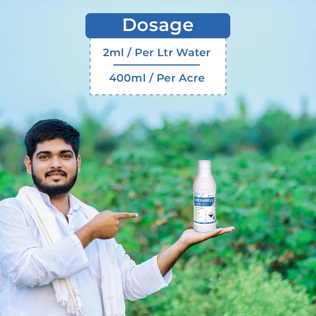 Hexabell - Hexaconazole 4% + Carbendazim 16% SC, Highly Effective Fungicide with Protective & Curative Action - Image 5