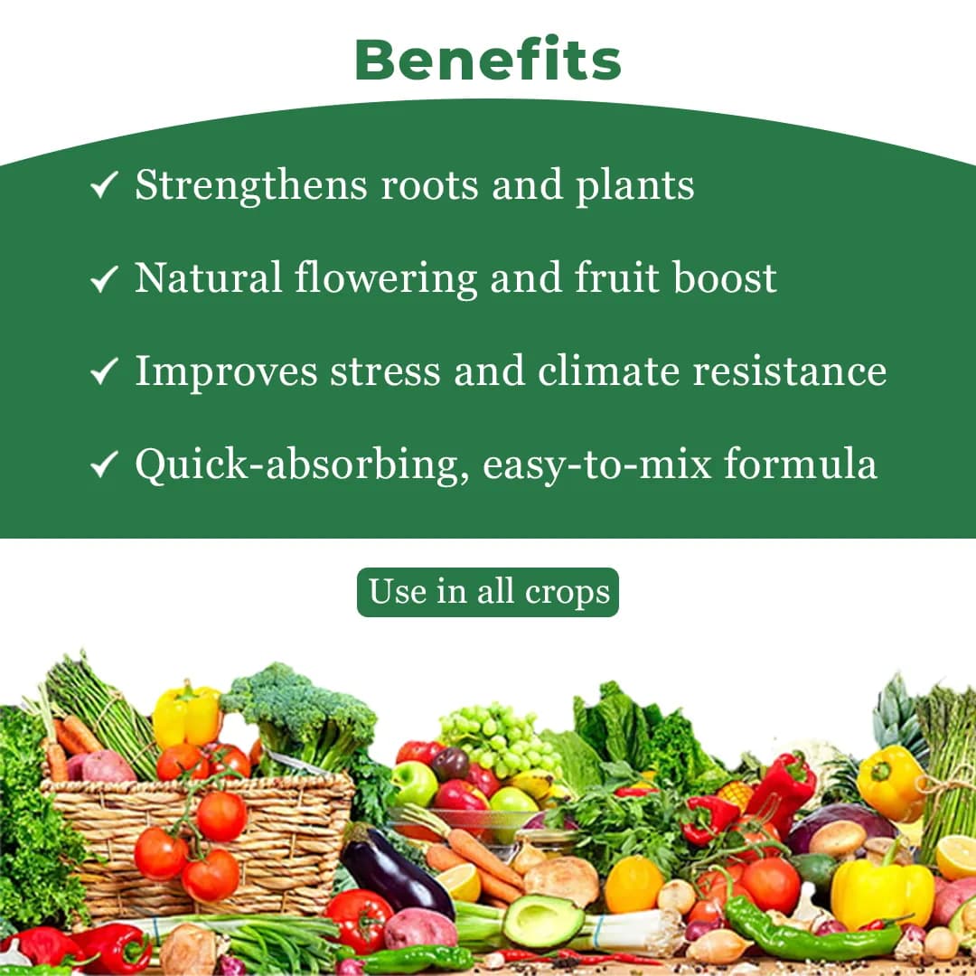 Premium Seaweed Extract Liquid for Plants Vegetables Flowers Fruits Promotes Plant Growth, Flowering, Fruiting - Keeps Plant Healthy and Greenish - Image 4