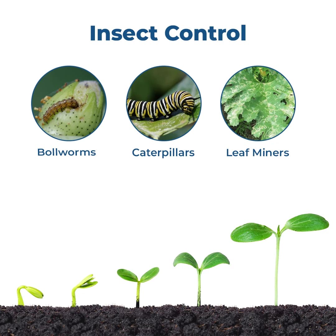 Exylon Electra Emamectin Benzoate 1.9% EC Insecticide, Effective Pest Control In Vegetables And Fruits Crops - Image 3