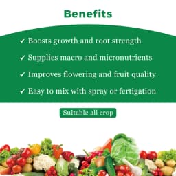 Crystal Nutrozen Systemic Balanced Nutrition, For Optimum Metabolic Activities 4