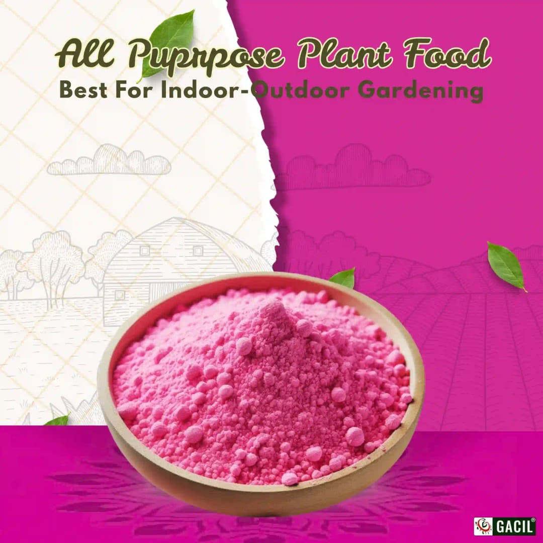 GACIL Plus Complete NPK 19:19:19 Fertilizer For Lush Vegetables, Juicy Fruits, And Stunning Flowers - Image 6